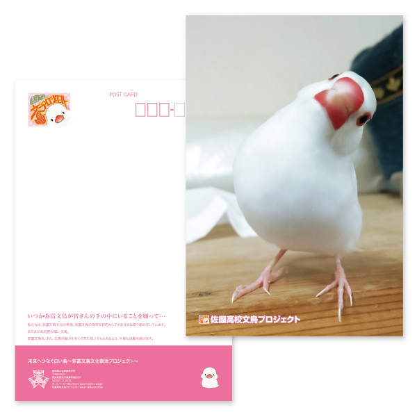 佐屋高校文鳥プロジェクトポストカードＢ