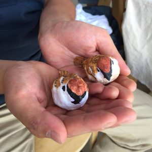 第三回トリハ展参加：株式会社 鳥さん