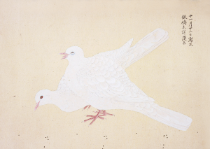 石顛道人：百鳥図