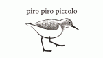 第五回トリハ展参加：piro piro piccoloさん